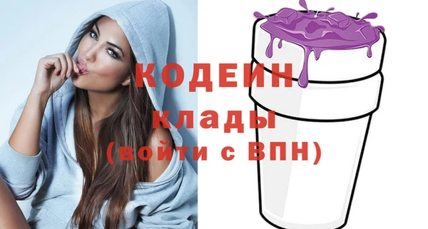 индика Алексин