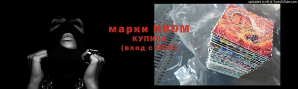 индика Алексин