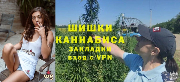 индика Алексин