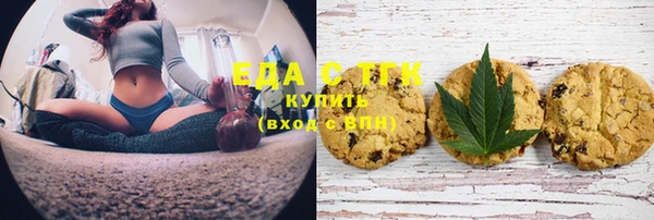индика Алексин
