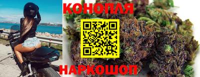 спиды Дубна