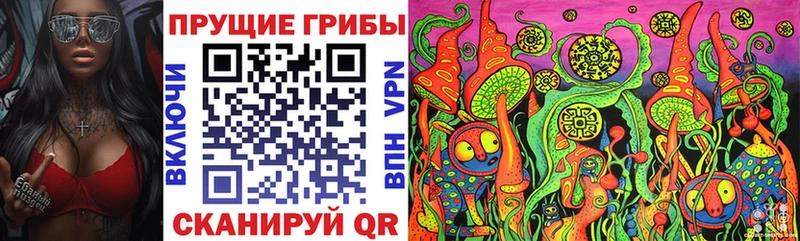 Галлюциногенные грибы Psilocybine cubensis  Елабуга 